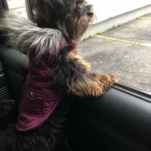 Meet your Posher, Jaime